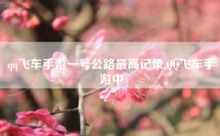 qq飞车手游一号公路最高记录,QQ飞车手游中