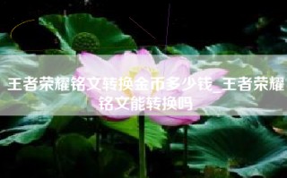 王者荣耀铭文转换金币多少钱_王者荣耀铭文能转换吗