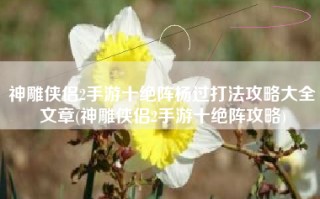 神雕侠侣2手游十绝阵杨过打法攻略大全文章(神雕侠侣2手游十绝阵攻略)