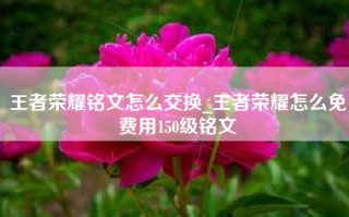 王者荣耀铭文怎么交换_王者荣耀怎么免费用150级铭文