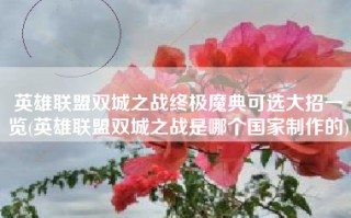 英雄联盟双城之战终极魔典可选大招一览(英雄联盟双城之战是哪个国家制作的)