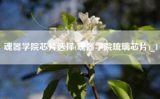 魂器学院芯片选择(魂器学院琉璃芯片)_1