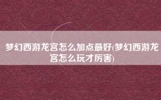 梦幻西游龙宫怎么加点最好(梦幻西游龙宫怎么玩才厉害)