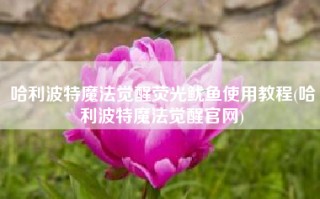 哈利波特魔法觉醒荧光鱿鱼使用教程(哈利波特魔法觉醒官网)