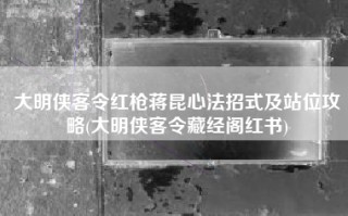 大明侠客令红枪蒋昆心法招式及站位攻略(大明侠客令藏经阁红书)