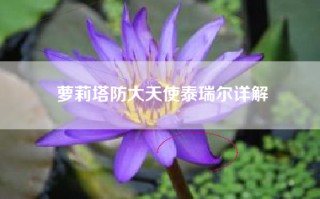 萝莉塔防大天使泰瑞尔详解
