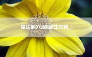魔法洞穴2刷属性攻略_1