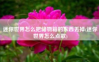 迷你世界怎么把储物箱的东西丢掉(迷你世界怎么点歌)