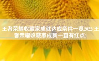 王者荣耀收藏家成就达成条件一览2022(王者荣耀收藏家成就一直有红点)