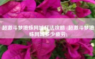 超激斗梦境蛛网城打法攻略 (超激斗梦境蛛网城多少疲劳)