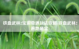 铁血武林2宝洞奇遇玩法攻略(铁血武林2遍地是宝)