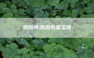 阴阳师(阴阳师藏宝阁)