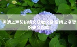 黑暗之潮契约铭文获取攻略(黑暗之潮契约铭文攻略)