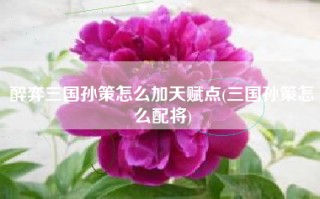 醉弈三国孙策怎么加天赋点(三国孙策怎么配将)