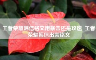 王者荣耀韩信铭文用暴击还是攻速_王者荣耀韩信出装铭文