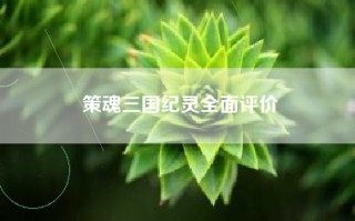 策魂三国纪灵全面评价
