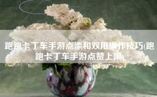 跑跑卡丁车手游点漂和双甩操作技巧(跑跑卡丁车手游点赞上限)