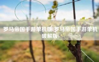 罗马帝国手游单机版(罗马帝国手游单机破解版)