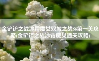 金铲铲之战冰霜魔女双城之战S6第一关攻略(金铲铲之战冰霜魔女通关攻略)