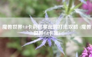 魔兽世界9.0卡莉丝塞茵的打法攻略 (魔兽世界9.0卡死)