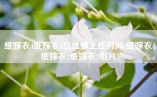 纸嫁衣4纸嫁衣4红丝缠上线时间(纸嫁衣4纸嫁衣2纸嫁衣3相片)