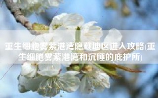 重生细胞雾萦港湾隐藏地区进入攻略(重生细胞雾萦港湾和沉睡的庇护所)