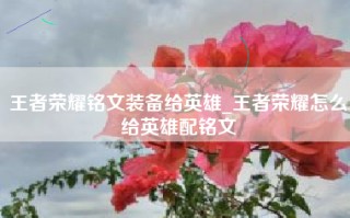 王者荣耀铭文装备给英雄_王者荣耀怎么给英雄配铭文