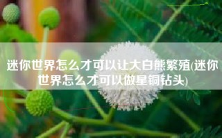 迷你世界怎么才可以让大白熊繁殖(迷你世界怎么才可以做星铜钻头)