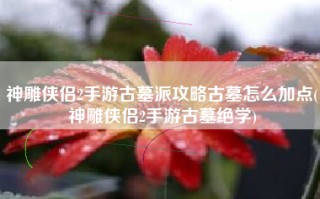 神雕侠侣2手游古墓派攻略古墓怎么加点(神雕侠侣2手游古墓绝学)