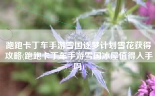 跑跑卡丁车手游雪国逐梦计划雪花获得攻略(跑跑卡丁车手游雪国冰屋值得入手吗)