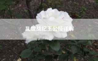 乱世战纪主公技详解