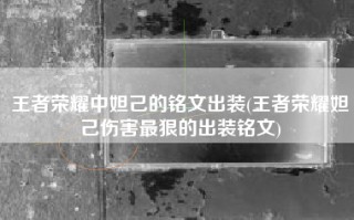 王者荣耀中妲己的铭文出装(王者荣耀妲己伤害最狠的出装铭文)