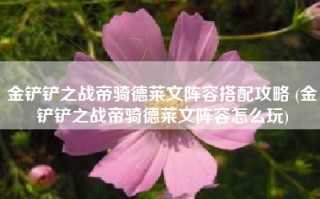 金铲铲之战帝骑德莱文阵容搭配攻略 (金铲铲之战帝骑德莱文阵容怎么玩)