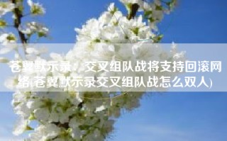 苍翼默示录：交叉组队战将支持回滚网络(苍翼默示录交叉组队战怎么双人)