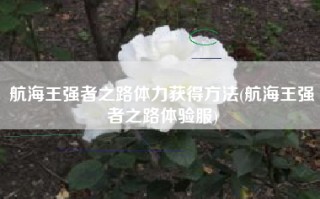 航海王强者之路体力获得方法(航海王强者之路体验服)