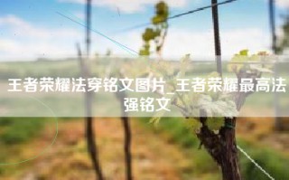 王者荣耀法穿铭文图片_王者荣耀最高法强铭文