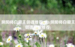 阴阳师白藏主御魂推荐2021(阴阳师白藏主御魂搭配推荐)