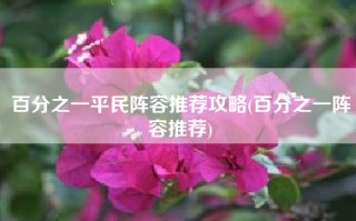 百分之一平民阵容推荐攻略(百分之一阵容推荐)
