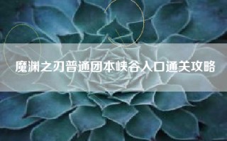 魔渊之刃普通团本峡谷入口通关攻略