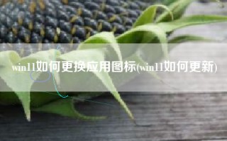 win11如何更换应用图标(win11如何更新)