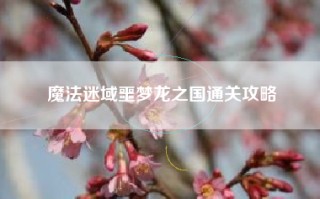 魔法迷域噩梦龙之国通关攻略