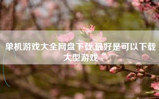 单机游戏大全网盘下载,最好是可以下载大型游戏