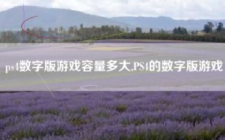ps4数字版游戏容量多大,PS4的数字版游戏