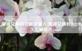 原神兑换码在哪里输入(原神兑换码2022永久五星角色)