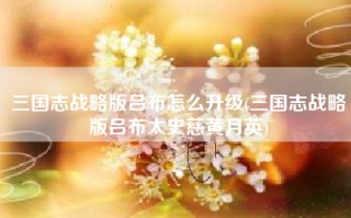 三国志战略版吕布怎么升级(三国志战略版吕布太史慈黄月英)
