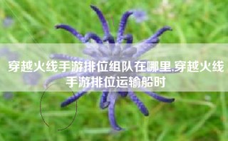 穿越火线手游排位组队在哪里,穿越火线手游排位运输船时