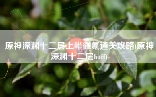 原神深渊十二层上半微氪通关攻略(原神深渊十二层buff)