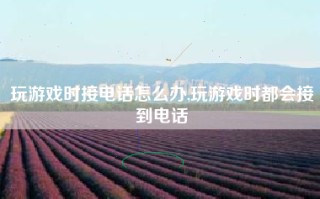 玩游戏时接电话怎么办,玩游戏时都会接到电话