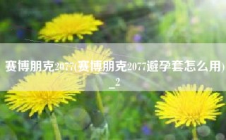 赛博朋克2077(赛博朋克2077避孕套怎么用)_2