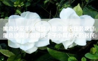 黑色沙漠手游寻找消息灵通者任务攻略(黑色沙漠手游寻找个子小耳朵大的居民)